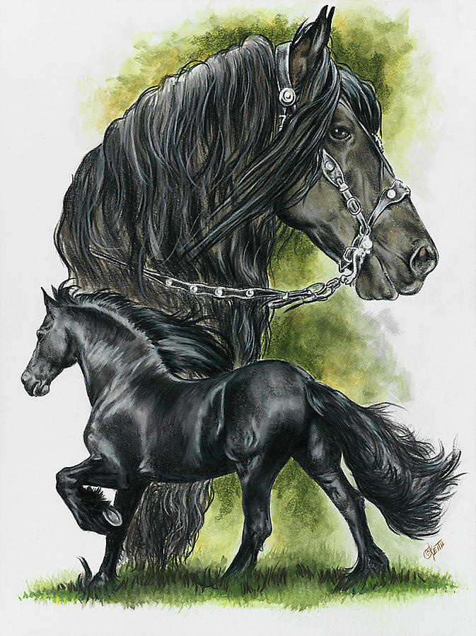 Friesian - Barbara Keith